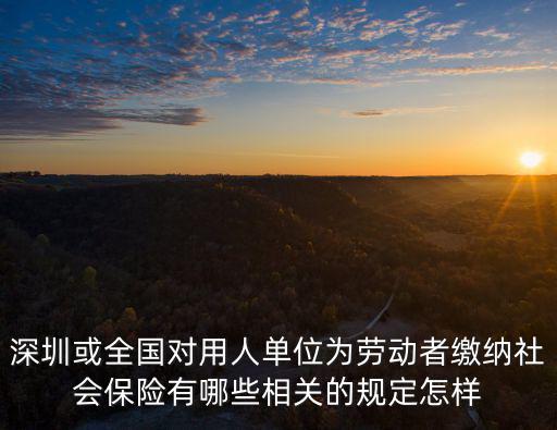 深圳或全國對用人單位為勞動者繳納社會保險有哪些相關的規定怎樣