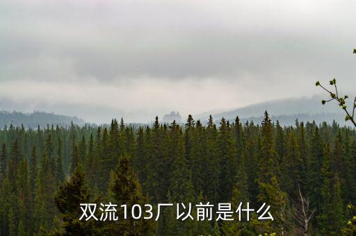 成都市飛機(jī)零配件有限公司，成都雙流縣那有個(gè)103廠103廠附件是不是有個(gè)什么國(guó)航基地基地