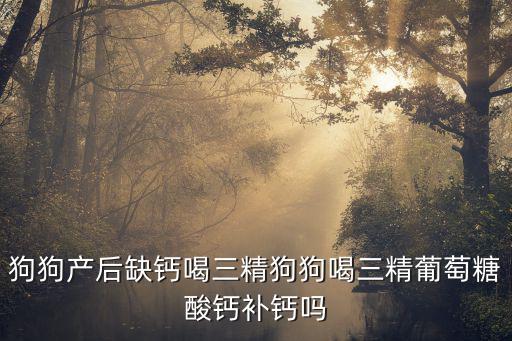 母狗生產(chǎn)后吃多少鈣片，狗狗產(chǎn)后缺鈣喝三精狗狗喝三精葡萄糖酸鈣補(bǔ)鈣嗎