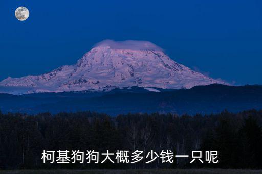 柯基狗狗大概多少錢一只呢