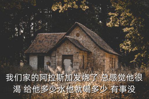 我們家的阿拉斯加發(fā)燒了 總感覺他很渴 給他多少水他就喝多少 有事沒