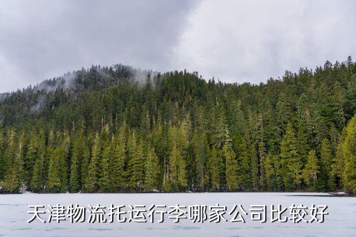 天津市晟能物流有限公司，天津物流托運行李哪家公司比較好