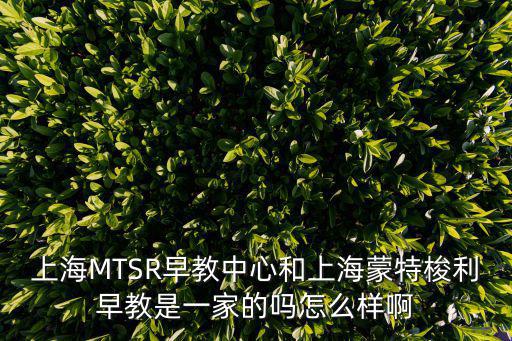 上海MTSR早教中心和上海蒙特梭利早教是一家的嗎怎么樣啊