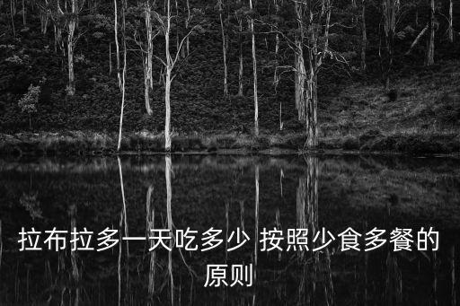 拉布拉多一天吃多少 按照少食多餐的原則