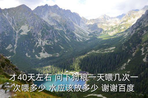 才40天左右 問下狗糧一天喂幾次一次喂多少 水應該放多少 謝謝百度