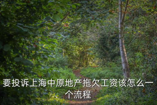 要投訴上海中原地產拖欠工資該怎么一個流程