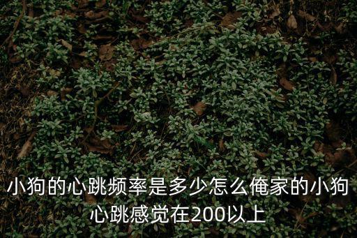 狗的血壓和心率是多少正常，奶狗心跳多少正常