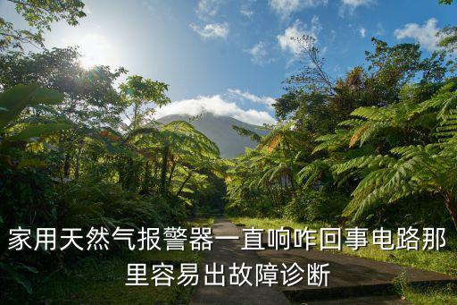 家用天然氣報警器一直響咋回事電路那里容易出故障診斷
