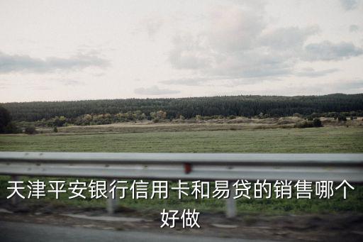 天津平安銀行信用卡和易貸的銷售哪個好做