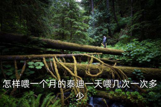 怎樣喂一個月的泰迪一天喂幾次一次多少
