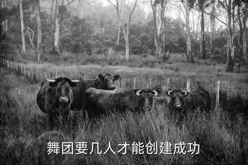 舞團(tuán)要幾人才能創(chuàng)建成功