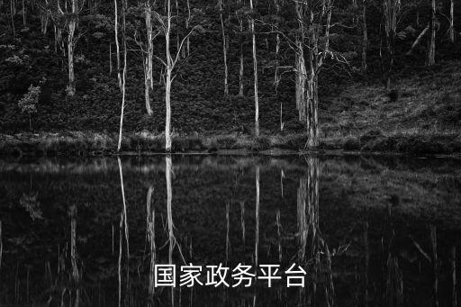國家政務服務平臺，全國一體化政務服務平臺怎么進入