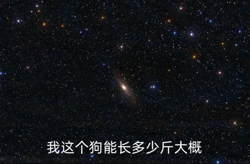 實驗犬一般多少公斤，小狗大狗一般重多少千克