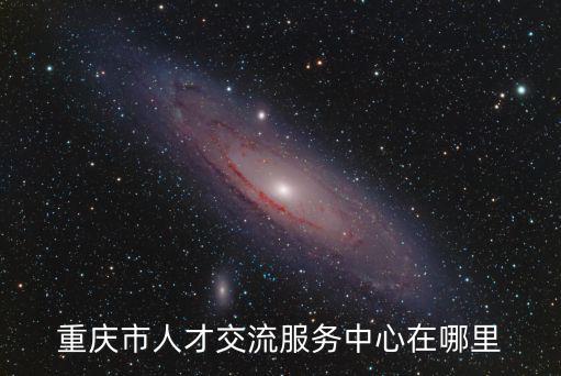 重慶市人才交流服務中心在哪里