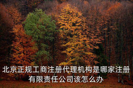 北京正規工商注冊代理機構是哪家注冊有限責任公司該怎么辦