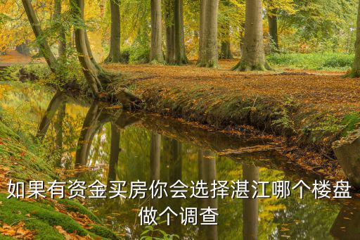 如果有資金買房你會選擇湛江哪個樓盤做個調查