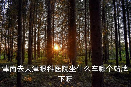 津南去天津眼科醫院坐什么車哪個站牌下呀