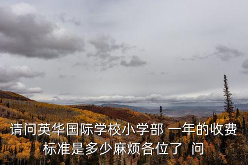 請(qǐng)問(wèn)英華國(guó)際學(xué)校小學(xué)部 一年的收費(fèi)標(biāo)準(zhǔn)是多少麻煩各位了  問(wèn)