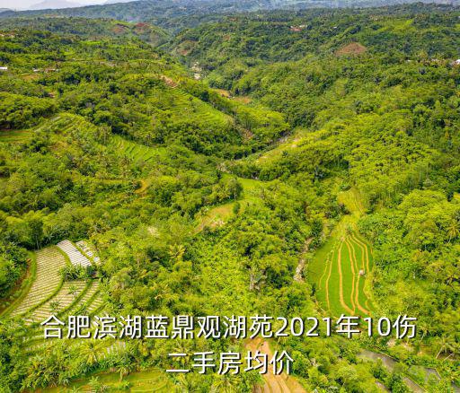 合肥濱湖藍鼎觀湖苑2021年10傷二手房均價