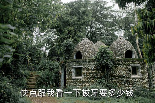 貓口炎拔牙多少錢一次，拔一個牙大約用多少錢