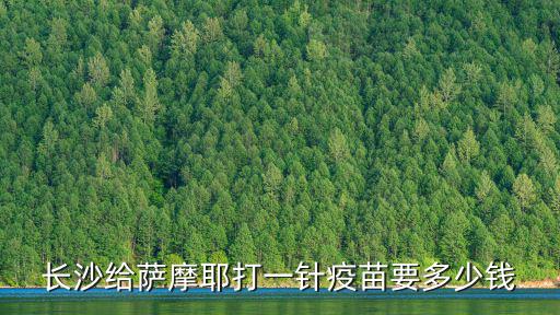 薩摩育苗多少錢，狗狗薩摩耶什么時候打疫苗要多少錢