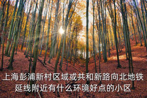 上海彭浦新村區域或共和新路向北地鐵延線附近有什么環境好點的小區