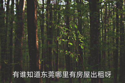 有誰知道東莞哪里有房屋出租呀