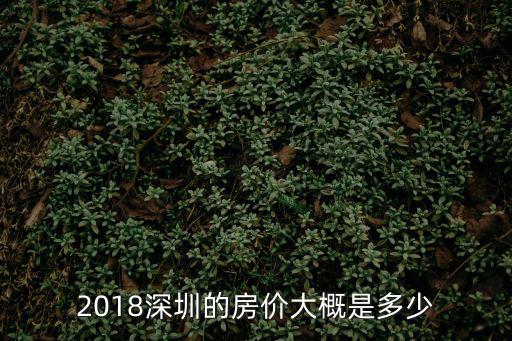 2018深圳的房價大概是多少