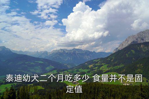 泰迪幼犬二個月吃多少 食量并不是固定值