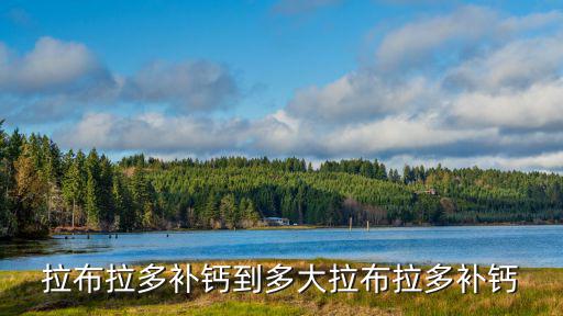 拉布拉多補鈣到多大拉布拉多補鈣