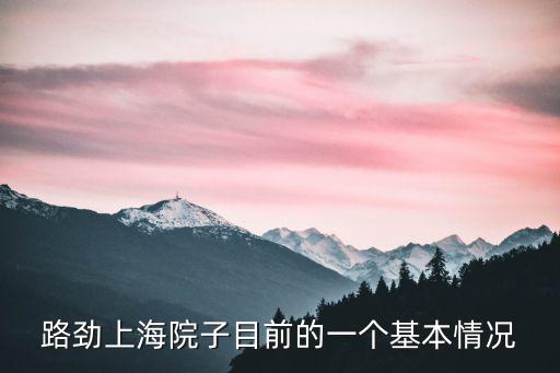 嘉定聯排別墅370萬，201312在上海買一套別墅連排房大概要多少錢