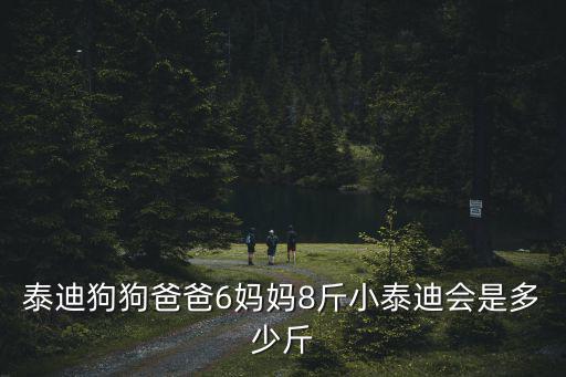 泰迪多少斤正常，泰迪狗狗爸爸6媽媽8斤小泰迪會是多少斤