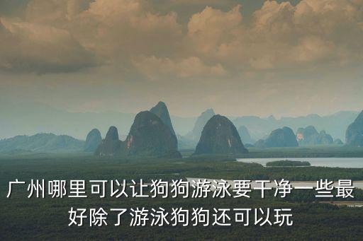 廣州哪里可以讓狗狗游泳要干凈一些最好除了游泳狗狗還可以玩