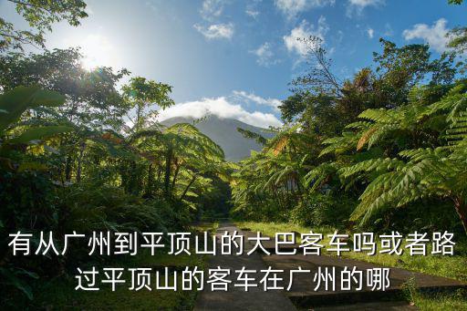 有從廣州到平頂山的大巴客車(chē)嗎或者路過(guò)平頂山的客車(chē)在廣州的哪