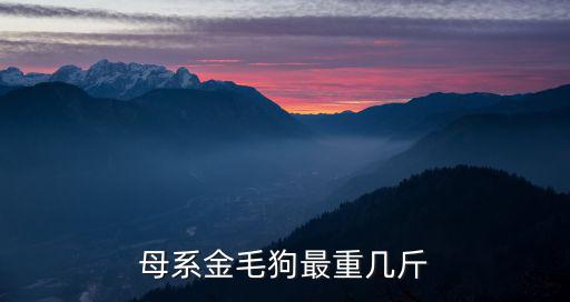 母系金毛狗最重幾斤