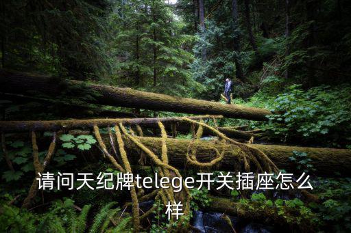 請問天紀(jì)牌telege開關(guān)插座怎么樣