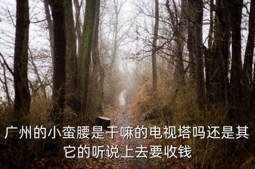 廣州的小蠻腰是干嘛的電視塔嗎還是其它的聽說上去要收錢