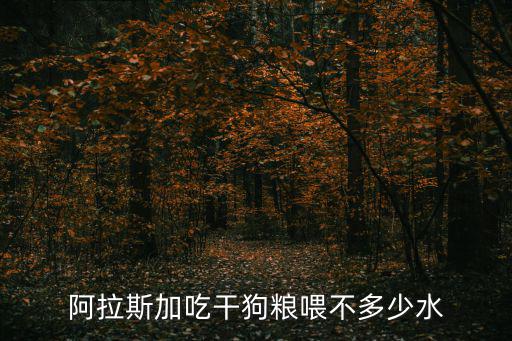 阿拉斯加吃干狗糧喂不多少水