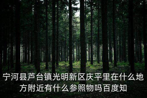 寧河縣蘆臺鎮光明新區慶平里在什么地方附近有什么參照物嗎百度知