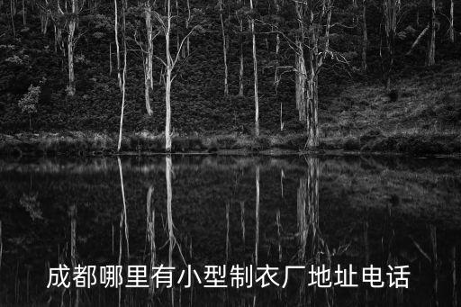 成都哪里有小型制衣廠地址電話