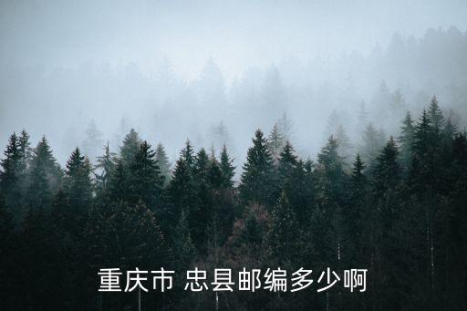 重慶市忠縣磨子小學編號，重慶忠縣濱江路有哪些學校