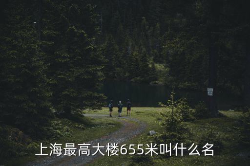 上海最高大樓655米叫什么名