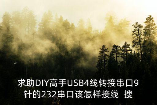 求助DIY高手USB4線轉接串口9針的232串口該怎樣接線  搜