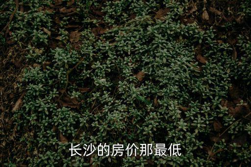 長沙哪個(gè)地方房價(jià)低一點(diǎn)，長沙的房價(jià)那最低