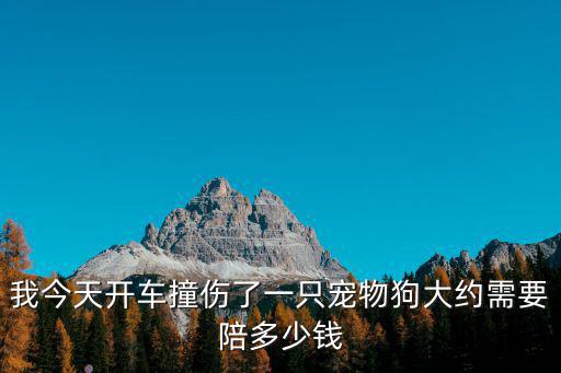我今天開車撞傷了一只寵物狗大約需要陪多少錢