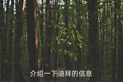 成都市委書記訪問迪拜，成都市 金牛區區委書記楊興林是哪兒的人