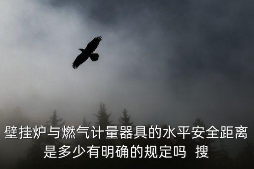 壁掛爐與燃氣計量器具的水平安全距離是多少有明確的規定嗎  搜
