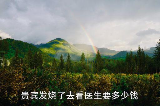 狗發(fā)燒醫(yī)院多少錢，給狗打退燒針多少錢