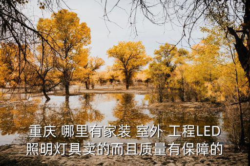 重慶 哪里有家裝 室外 工程LED照明燈具賣(mài)的而且質(zhì)量有保障的