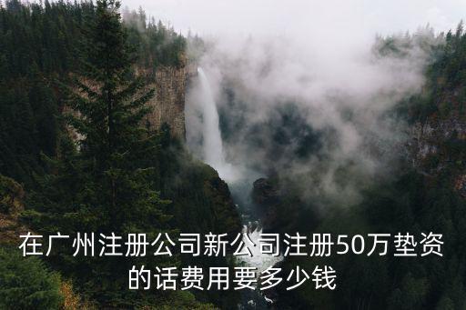 在廣州注冊公司新公司注冊50萬墊資的話費用要多少錢